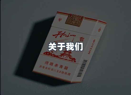 关于我们